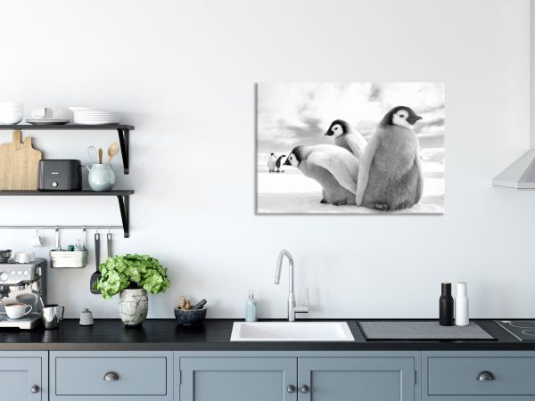 Kaiserpinguin Gruppe, Glasbild Verkauf – Bild 3